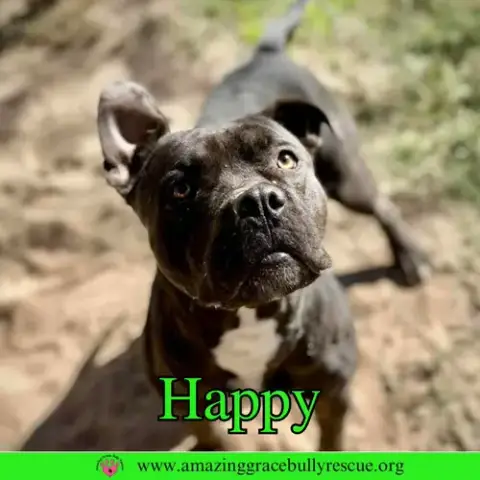 Happy photo 5
