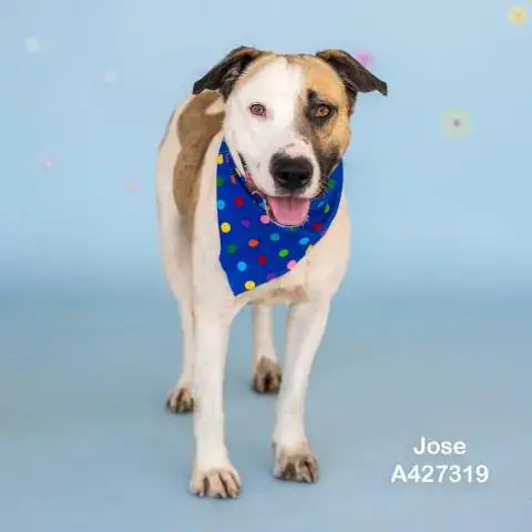 Jose
