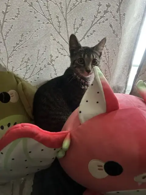Meg photo 5