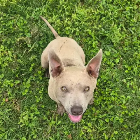 Frankie photo 2