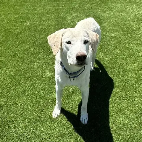 Max 8 photo 2