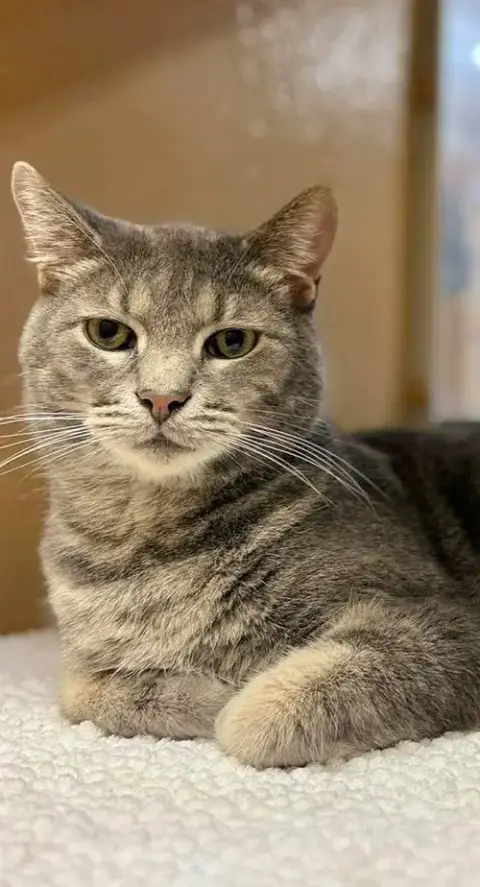 Finn photo 2