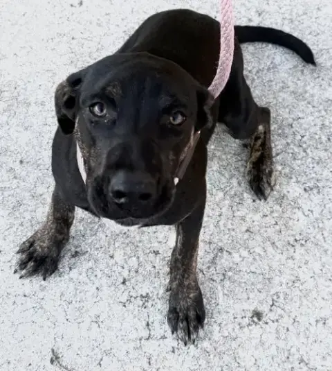 Saoirse Doglando Training Camp photo 4