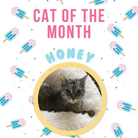 Honey Rm
