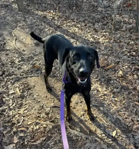 Boone photo 3
