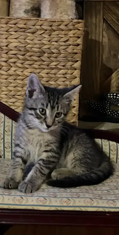 Gabby photo 3