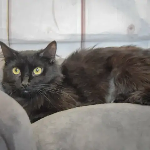 Betty photo 2