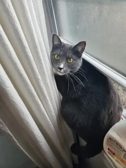 Freya: My Home To Yours: Not At Shelter