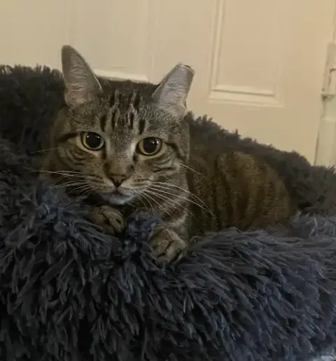 Prissy