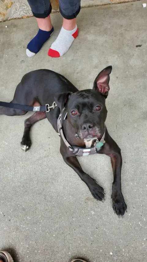 Ellie