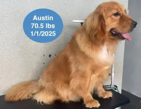Austin photo 2