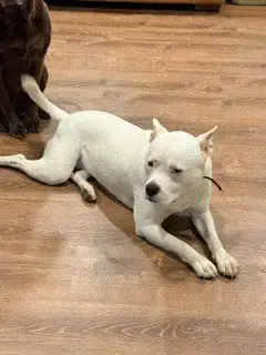 Luna photo 2