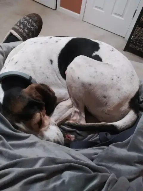 Bonnie photo 5