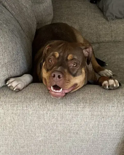 Ruby