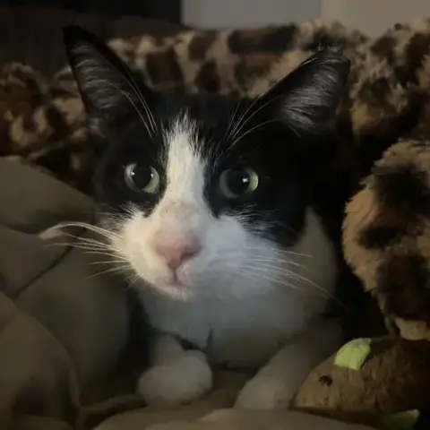 Leila photo 2