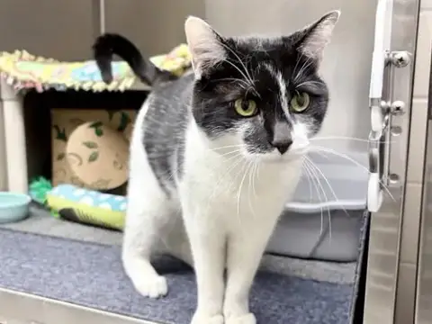 Tinker