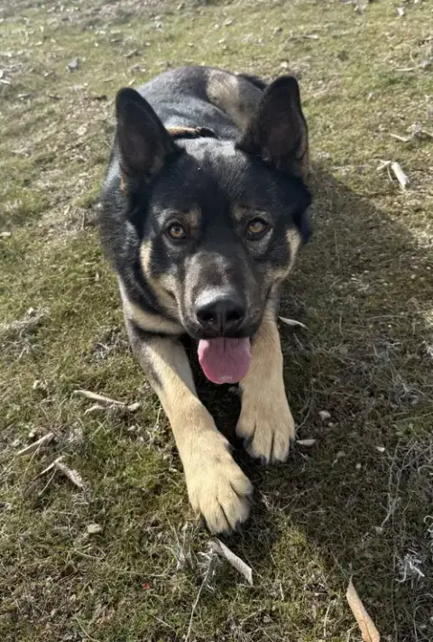 Denzel photo 2