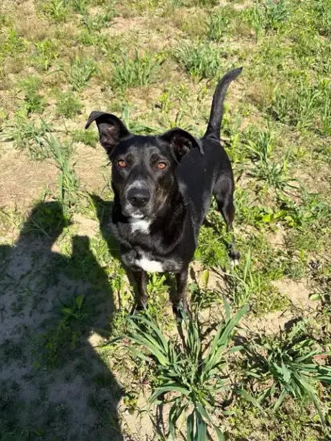 Molly photo 3