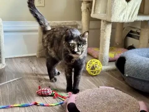 Miss Marbles photo 2