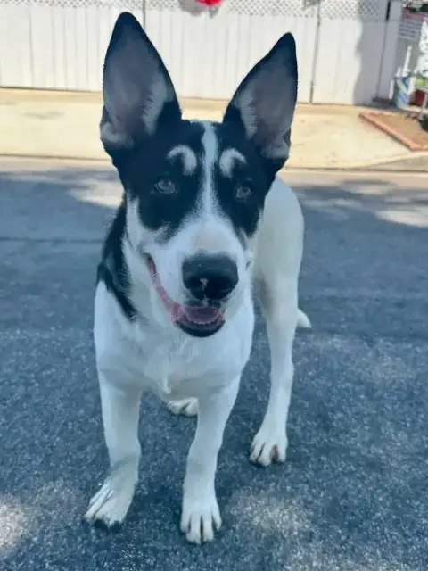 Bernie photo 3