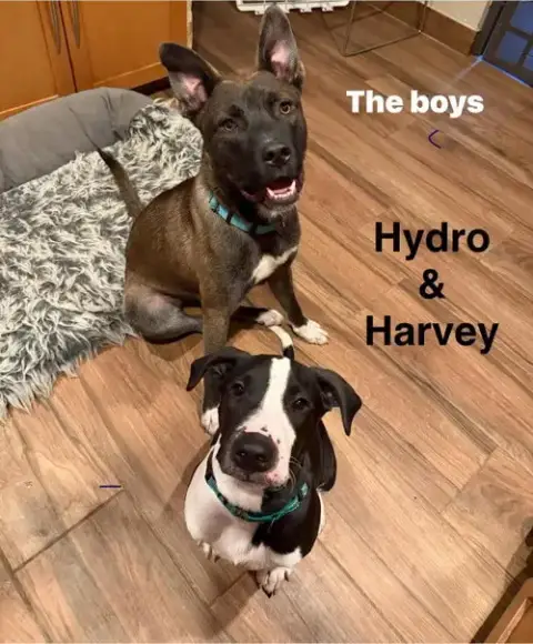 Hydro photo 5