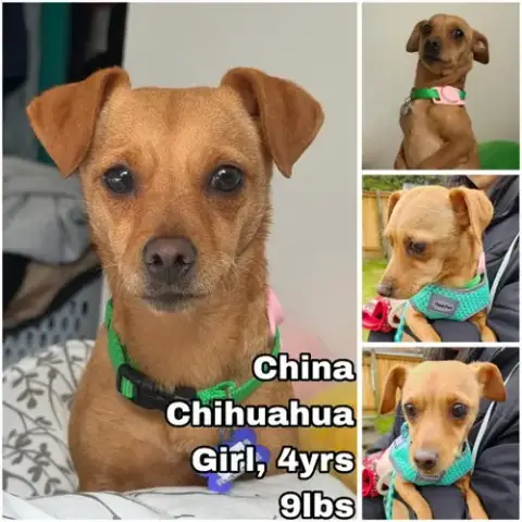 China From Mexico