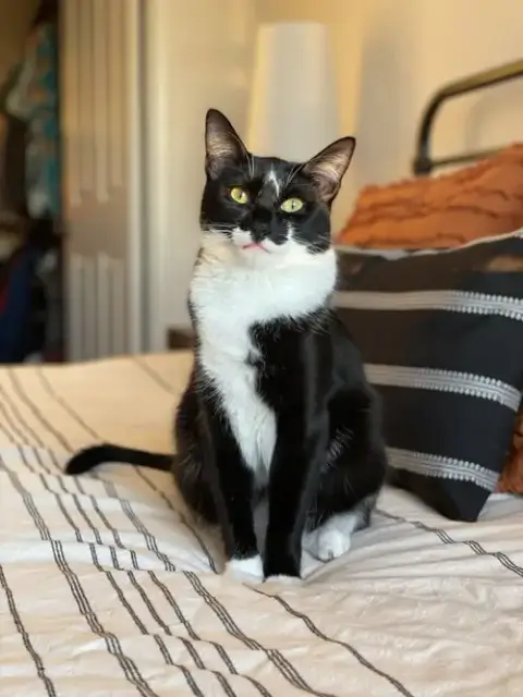 Mia