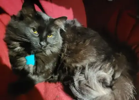 Mittens