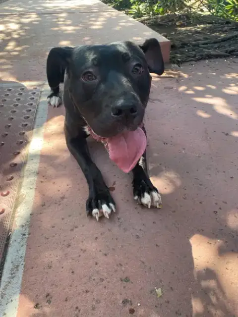 Lucy