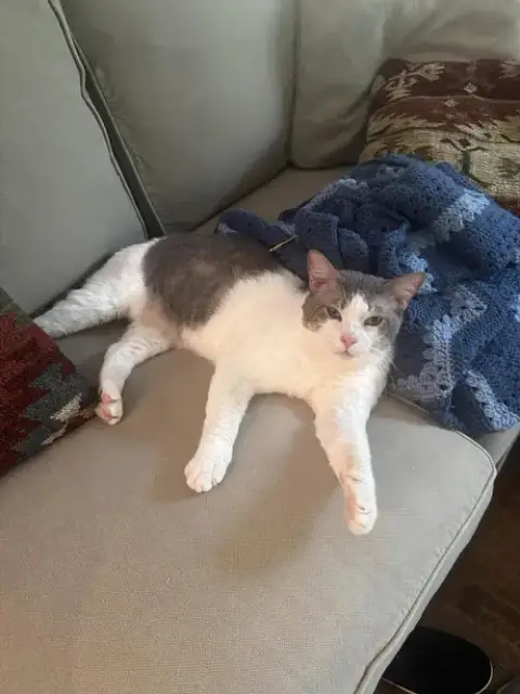 Sleepy photo 2