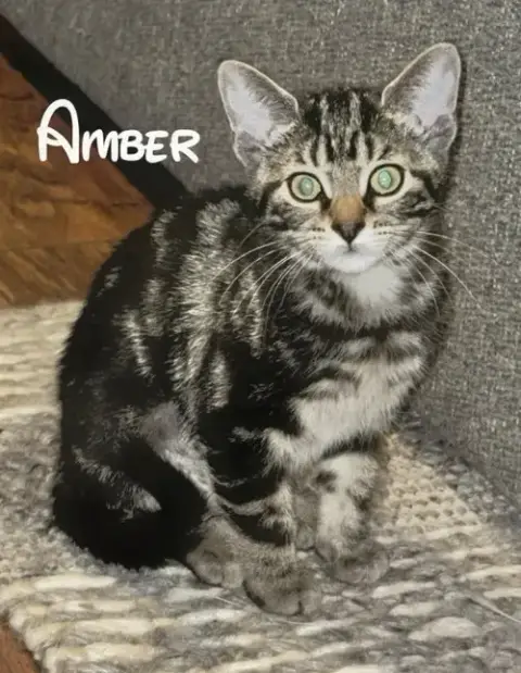 Amber photo 3