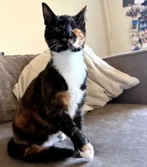 Ella photo 3