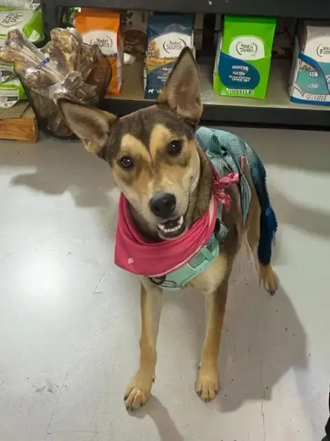 Kya