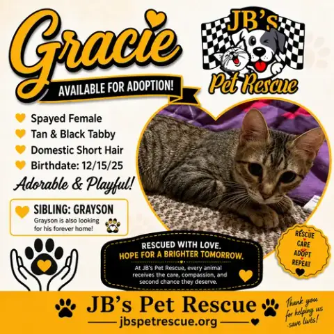 Gracie