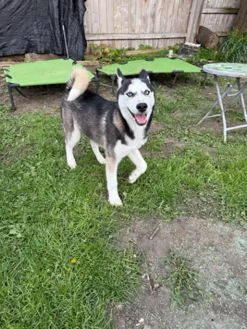 Sasha photo 4