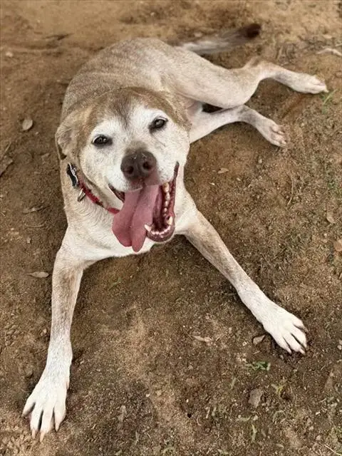 Bella