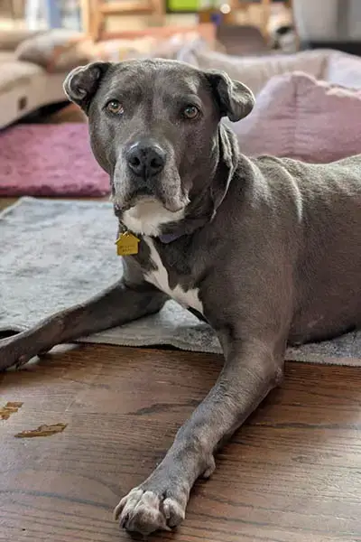 Ellie