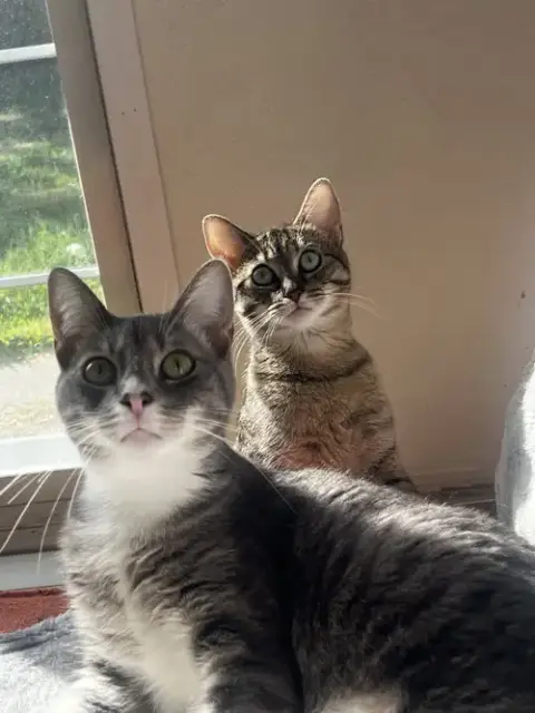 Pease Blossom Bonded With Puck photo 2