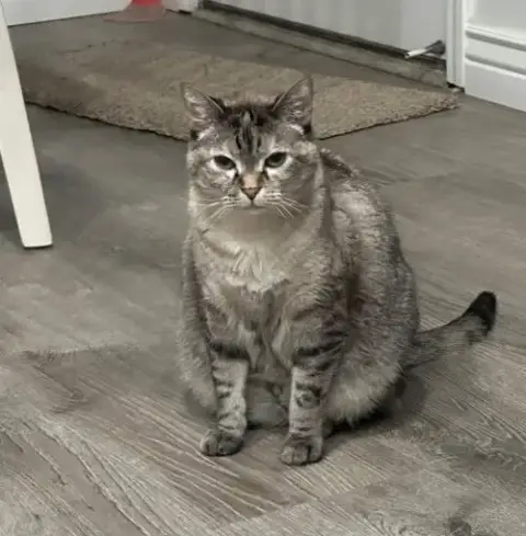 Sadee photo 4
