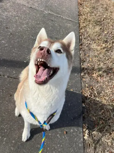 Sasha photo 5