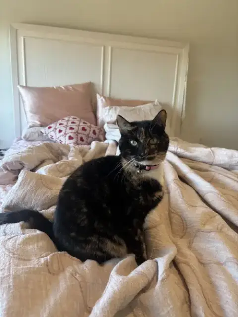Tootsie