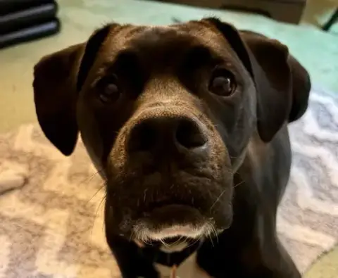 Luigi photo 3