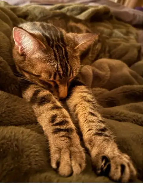 Poke`(Fiv Positive) photo 4