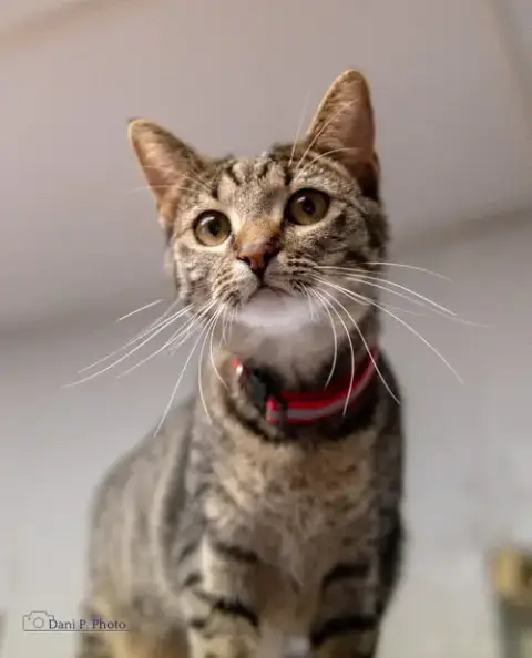 Stella Mae photo 2