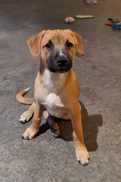 Leonard