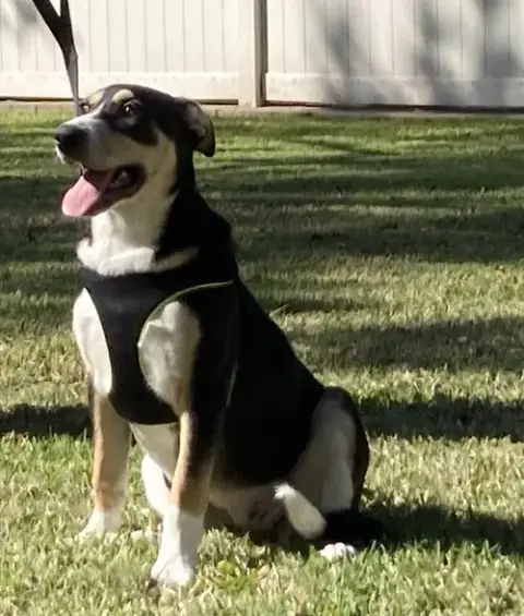 Xena photo 3