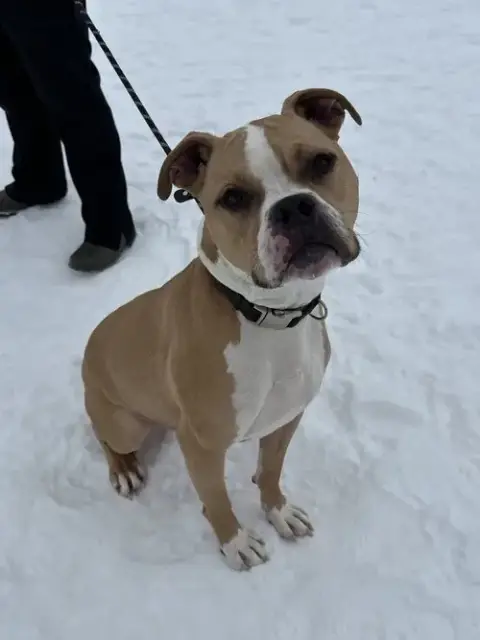 Jaxx photo 4