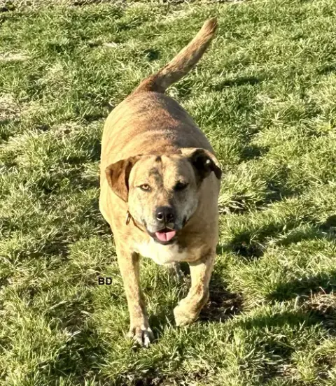 Winifred "Winnie" photo 3