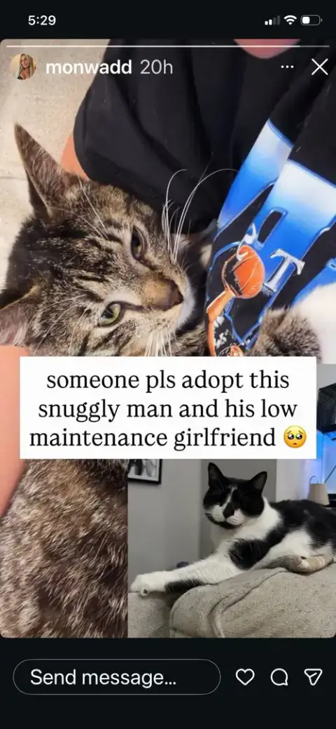 Squish And Honey