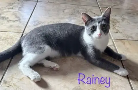 Rainey photo 2